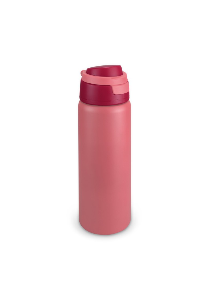 Spyro Vacuum Bottle