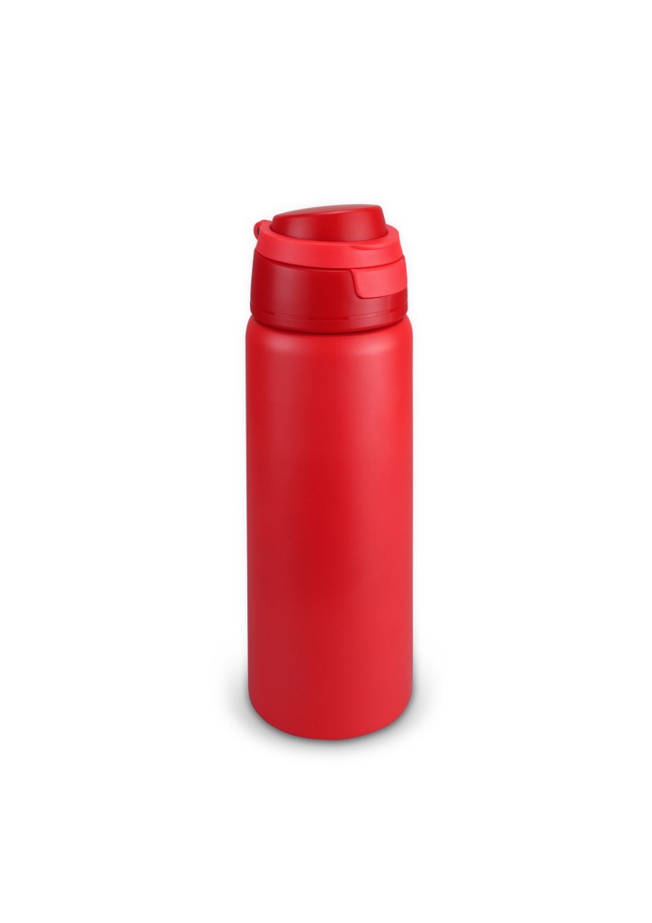 Spyro Vacuum Bottle
