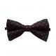 Bow Tie