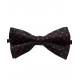 Bow Tie