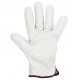 Rigger Glove (12 Pack) 